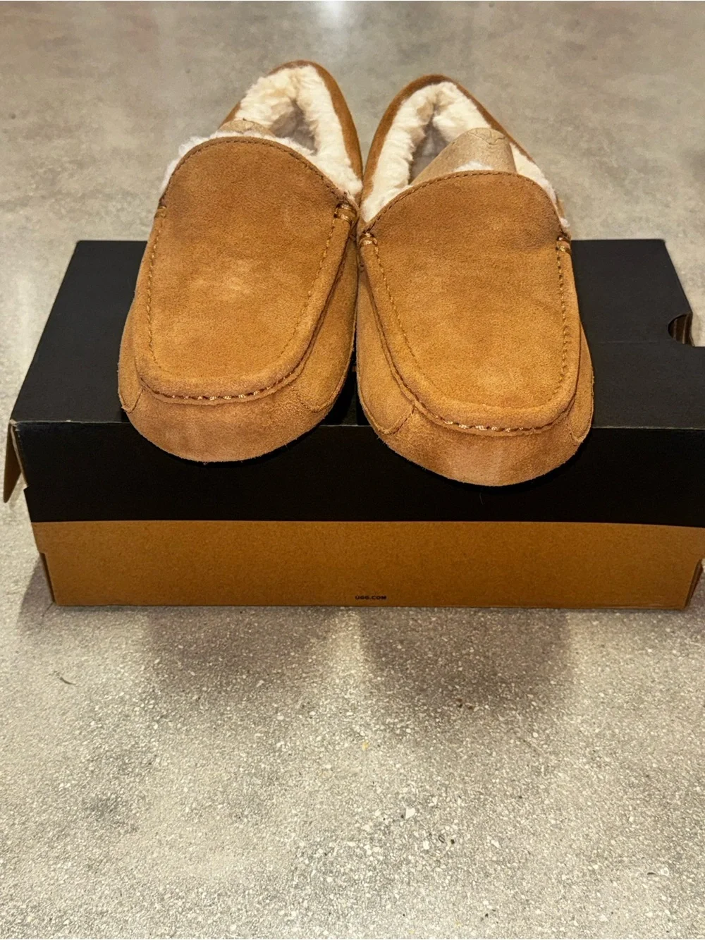 UGG Mens Ascot Slipper | Chestnut | 1101110-CHE | Authentic New - Size 7